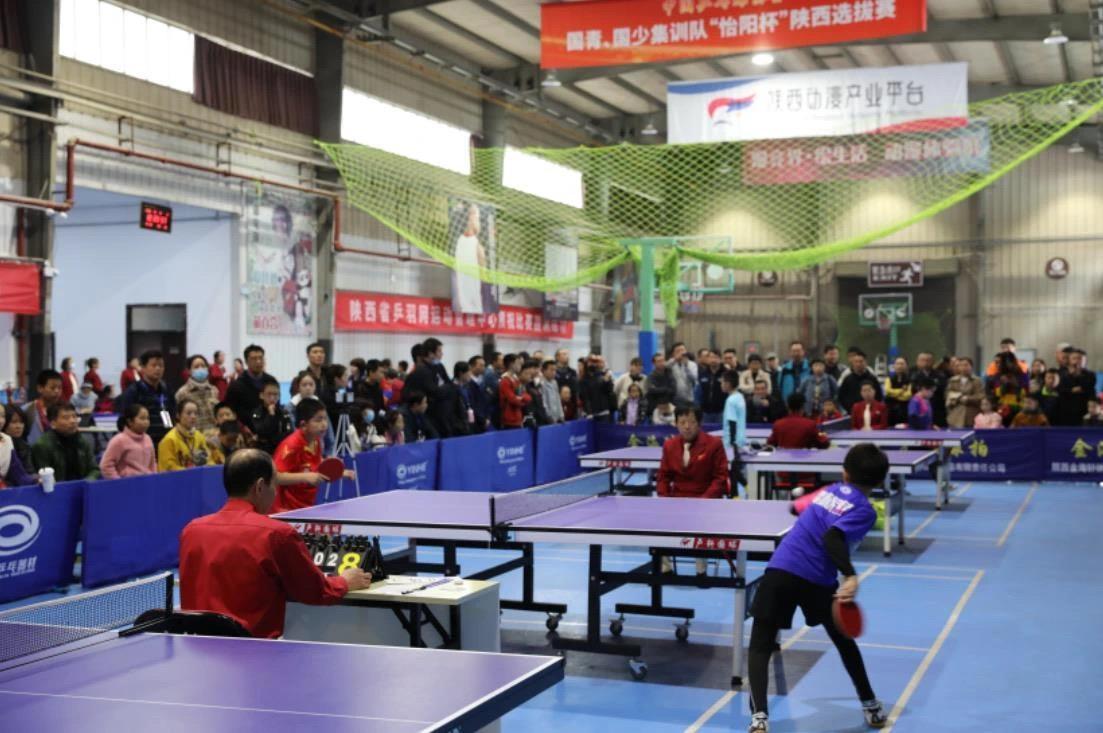 运动的发展 运动的发展